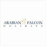 Arabian Falcon