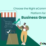 Choosing the Best eCommerce Platform_banner